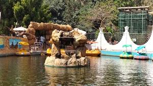 طائر "أبو منجل".. حديقة الحيوان تستقبل الزوار في أول أيام عيد الفطر