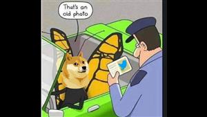 العصفور أصبح كلبا.. تغريدة غامضة لماسك على تويتر