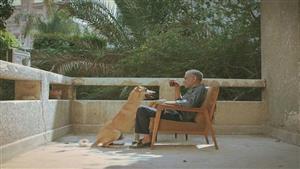 طرح فيلم "19 ب" في دور العرض السينمائي مايو المُقبل