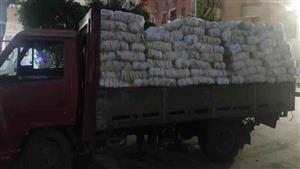 قبل بيعها بالسوق السوداء.. ضبط 11 طن سكر بالقاهرة 