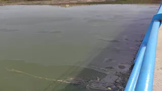 إجراء عاجل من شركة مياه بني سويف بعد رصد بقعة زيت فى النيل