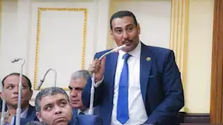 برلماني: رفض الرئيس السيسي لتهجير الفلسطينيين "أبلغ رد للجميع"