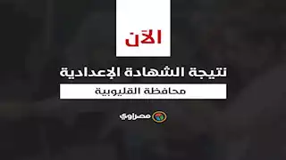 بالإسم ورقم الجلوس.. نتيجة الصف الثالث الاعدادي بالقليوبية 