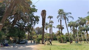 حديقة الأورمان تستقبل زوارها في آخر أيام عيد الأضحى 