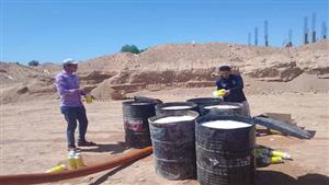 يهدد المباني والمنشآت.. شرم الشيخ تكافح خطر النمل الأبيض- صور