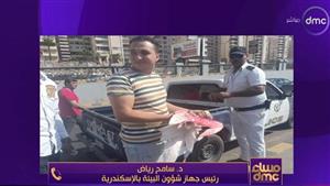 تفاصيل ضبط عدد من طيور الفلامنجو بأحد مقاهي الإسكندرية.. البيئة توضح