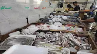 ارتفاع البلطي والجمبري.. أسعار السمك في سوق العبور اليوم