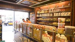 2724 فرصة عمل.. 1000 مشروع لشباب الإسكندرية بـ136 مليون جنيه - صور 