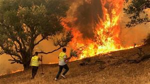 رجال الإطفاء يكافحون لإخماد حرائق الغابات في جزيرة سومطرة الإندونيسية