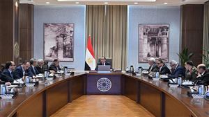 الحكومة توافق على خطابات تمويل مشروع الطاقة الذكية 