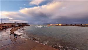 رغم شدتها.. الأمطار تزين شوارع الإسكندرية في نوة الفيضة الكبرى (فيديو وصور)