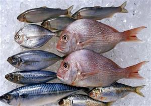بعد ظاهرة صيد السمك بالصعق الكهربائي- 7 نصائح لاختياره بالأسواق