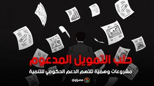 حلب التمويل المدعوم.. مشروعات وهمية تلتهم الدعم الحكومي للتنمية