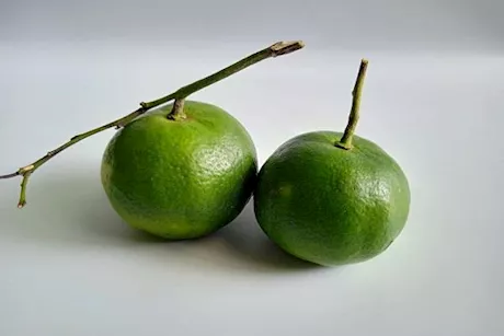 ماذا يحدث لطفلك عند تناول البرتقال الأخضر؟