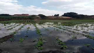 إجراءات استباقية.. "الري" تكشف حقيقة غرق المحافظات بسبب الفيضان