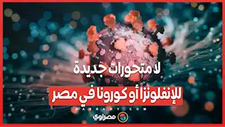 تقرير جديد يكشف عن استقرار الوضع الوبائي في مصر .. لا متحورات جديدة للإنفلونزا أو كورونا