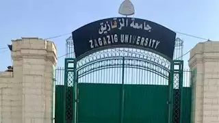 جامعة الزقازيق تحقق قفزة نوعية في تصنيف "التايمز البريطاني للتخصصات الأكاديمية"