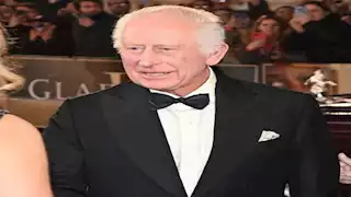 بسعر مفاجئ.. طرح دب الملك تشارلز للبيع