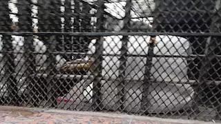  3 طعنات على خلاف قديم..المؤبد لفرد أمن في جريمة"بولاق" 