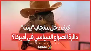 كيف دخل سنجاببينت دائرة الصراع السياسي في أميركا؟