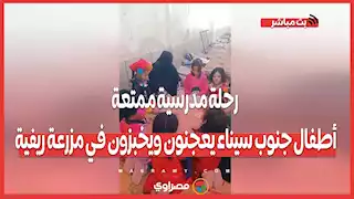 رحلة مدرسية ممتعة.. أطفال جنوب سيناء يعجنون ويخبزون في مزرعة ريفية