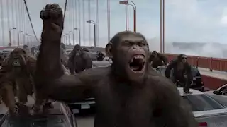 على طريقة فيلم "Rise of the Planet of the Apes".. هروب قردة من معمل أبحاث في أمريكا