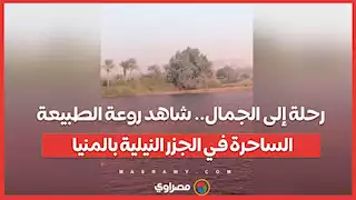 رحلة إلى الجمال.. شاهد روعة الطبيعة الساحرة في الجزر النيلية بالمنيا