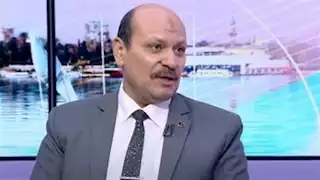خبير: الدولة المصرية حريصة على تعزيز جودة الصادرات الزراعية