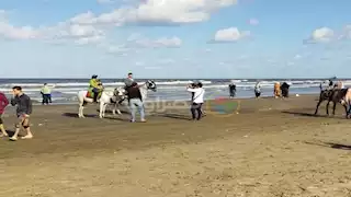 خيول وأمواج.. بورسعيد تستقبل عشاق البحر بأجواء رائعة- فيديو وصور 