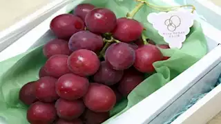 5 فوائد لتناول "العنب الأحمر" على صحة مرضي السكري 