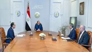 السيسي يطلع على جهود توطين تصنيع الهاتف المحمول