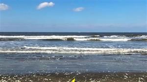 رغم الأمواج العالية.. شاطئ بورسعيد يزدحم برحلات "الويك إند"- صور 