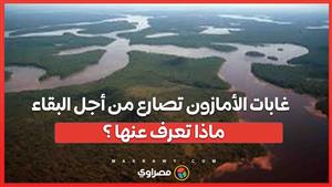 بعد 50 مليون سنة .... غابات الأمازون تصارع من أجل البقاء .. ماذا تعرف عنها ؟