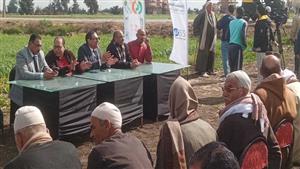 ندوة في الغيط.. لقاء مع صغار مزارعي القمح ضمن مبادرة "ازرع "بالبحيرة - صور