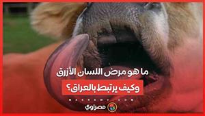 ما هو مرض "اللسان الأزرق" وكيف يرتبط بالعراق؟