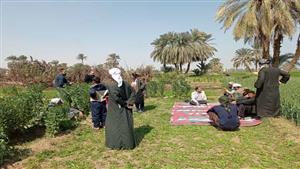 بالفيديو والصور- مزارعو المنيا يحولون المخلفات الزراعية لسماد عضوي