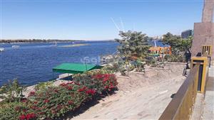 بالفيديو والصور- أجواء شتوية رائعة تجذب السائحين في أسوان