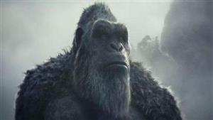  عرض فيلم "Godzilla X Kong: The New Empire" في مصر أبريل المقبل 