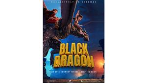 طرح فيلم BLACK DRAGON في دور العرض المصرية