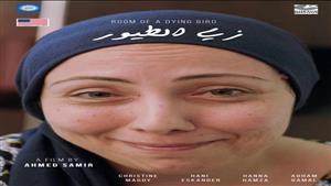 الجمعة.. المركز القومي للسينما يقيم عدة فاعليات بنادي سينما أوبرا الإسكندرية 