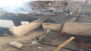 تفاصيل إحراق 40 رأس ماشية داخل حظيرة بالفيوم: 3 تجار وراء الواقعة