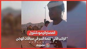 العصا والريمودكنترول .. " الراكب الآلي" كلمة السر في سباقات الهجن