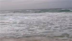 آخر صورة لـ"أحمد".. 8 غواصين يبحثون عن غريق الساحل الشمالي