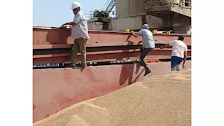 ننشر شروط دخول المحاصيل الزراعية للحجر الزراعي