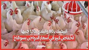 البيضاء بـ 80 والبلدي بـ120 جنيها.. انخفاض كبير في أسعار الدواجن بسوهاج