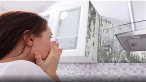 فيديو مرعب.. عائلة تسمع أصوات من السقف لن تصدق ماذا وجدوا؟