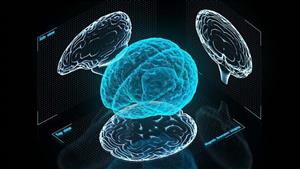 دراسة تكشف عن تقنية جديدة تفتح آفاقاً للتحكم في الدماغ وتعديل السلوك