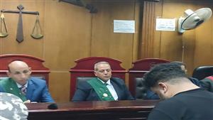 "ثبتها بسكينة ومفك".. حكم قضائي ضد المتهم بسرقة سيارة سيدة بالإكراه في الجيزة