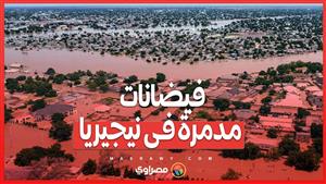 أزمة حديقة الحيوانات في نيجيريا  .. التماسيح والثعابين تجرفها الفيضانات إلى المناطق السكنية