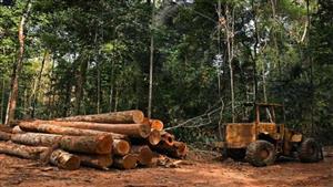 أمريكا والصين تجددان التزامهما بمواصلة الجهود المشتركة لمعالجة أزمة المناخ